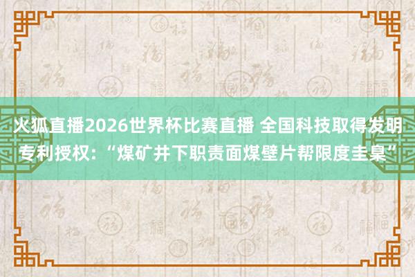 火狐直播2026世界杯比赛直播 全国科技取得发明专利授权: “煤矿井下职责面煤壁片帮限度圭臬”