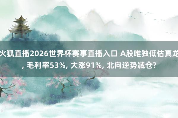 火狐直播2026世界杯赛事直播入口 A股唯独低估真龙, 毛利率53%, 大涨91%, 北向逆势减仓?