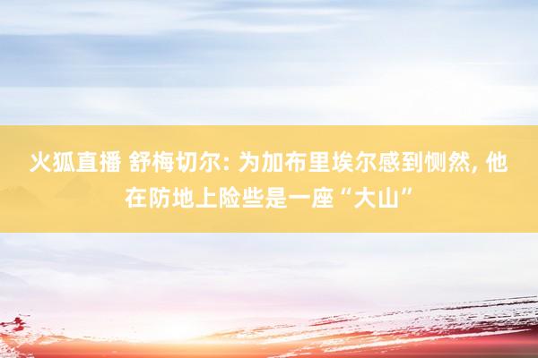 火狐直播 舒梅切尔: 为加布里埃尔感到恻然, 他在防地上险些是一座“大山”