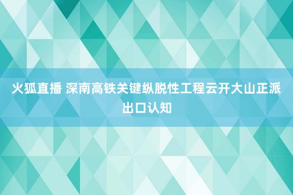 火狐直播 深南高铁关键纵脱性工程云开大山正派出口认知