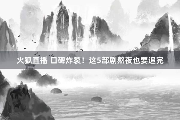 火狐直播 口碑炸裂！这5部剧熬夜也要追完