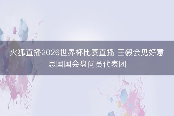 火狐直播2026世界杯比赛直播 王毅会见好意思国国会盘问员代表团