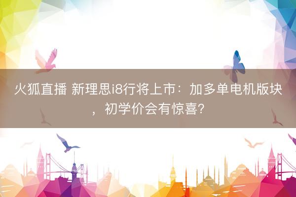 火狐直播 新理思i8行将上市:加多单电机版块,初学价会有惊喜?
